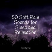 50 Soft Rain Sounds for Sleep and Relaxation