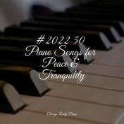 #2022 50 Piano Songs for Peace & Tranquility