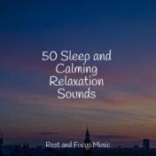 50 Sleep and Calming Relaxation Sounds