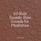 50 Rain Sounds: Rain Sounds for Meditation