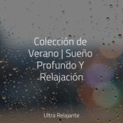 Colección de Verano | Sueño Profundo Y Relajación