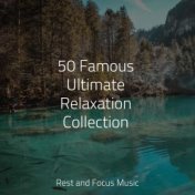50 Famous Ultimate Relaxation Collection