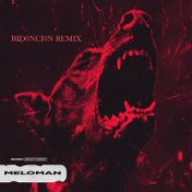 Meloman (BID0NCI0N Remix)
