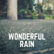 Wonderful Rain