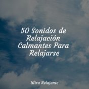 50 Sonidos de Relajación Calmantes Para Relajarse