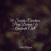 50 Sonidos Curativos Para Dormir Y Ambiente Chill