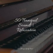 50 Tranquil Sounds | Relaxation