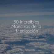 50 Increíbles Maestros de la Meditación