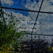 50 Deeply Calming Rain Melodies for Your Serenity