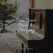 Pure Piano Pieces for Studying