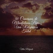 50 Canciones de Mindfulness Para Una Relajación Total