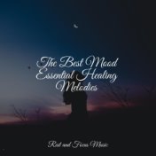 The Best Mood Essential Healing Melodies