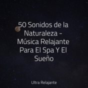 50 Sonidos de la Naturaleza - Música Relajante Para El Spa Y El Sueño
