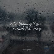 50 Looping Rain Sounds for Sleep