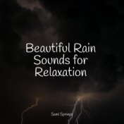 Beautiful Rain Sounds for Relaxation