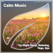 ! #0001 Calm Music for Night Sleep, Relaxing, Yoga, Spa