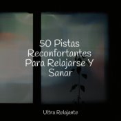 50 Pistas Reconfortantes Para Relajarse Y Sanar