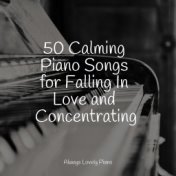 50 Calming Piano Songs for Falling In Love and Concentrating