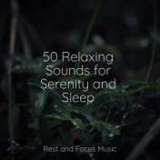 50 Relaxing Sounds for Serenity and Sleep