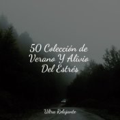 50 Colección de Verano Y Alivio Del Estrés