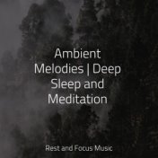 Ambient Melodies | Deep Sleep and Meditation