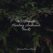 50 Ultimate Healing Ambience Tracks