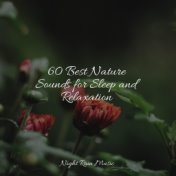 60 Best Nature Sounds for Sleep and Relaxation