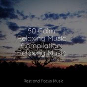 50 Calm Relaxing Music Compilation: Relaxing Music