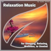 ! #0001 Relaxation Music for Sleeping, Relaxing, Wellness, to Unwind