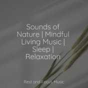 Sounds of Nature | Mindful Living Music | Sleep | Relaxation