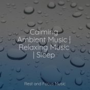 Calming Ambient Music | Relaxing Music | Sleep