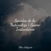 Sonidos de la Naturaleza | Sueño Instantáneo