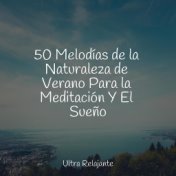 50 Melodías de la Naturaleza de Verano Para la Meditación Y El Sueño