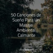 50 Canciones de Sueño Para Un Masaje Ambiental Calmante