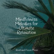 Mindfulness Melodies for Ultimate Relaxation