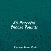 50 Peaceful Snooze Sounds