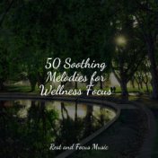 50 Soothing Melodies for Wellness Focus