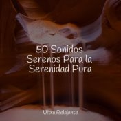 50 Sonidos Serenos Para la Serenidad Pura