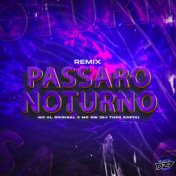 PASSARO NOTURNO (Remix)
