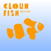 Clown fish