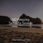 50 Amazing Serenity Sounds