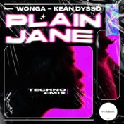 Plain Jane (TECHNO MIX)