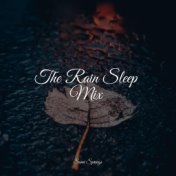 The Rain Sleep Mix