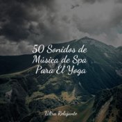 50 Sonidos de Música de Spa Para El Yoga