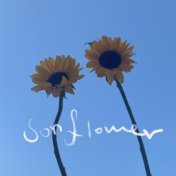 Sun Flower(2023)