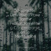 50 Sonidos Definitivos Para Dormir Profundamente y Concentrarse en la Meditación