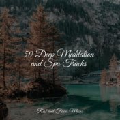 50 Deep Meditation and Spa Tracks