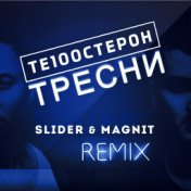 Тресни (Slider & Magnit Remix)