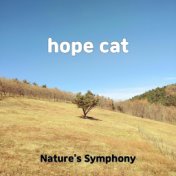 hope cat