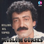 Kullara Kul Yapmış